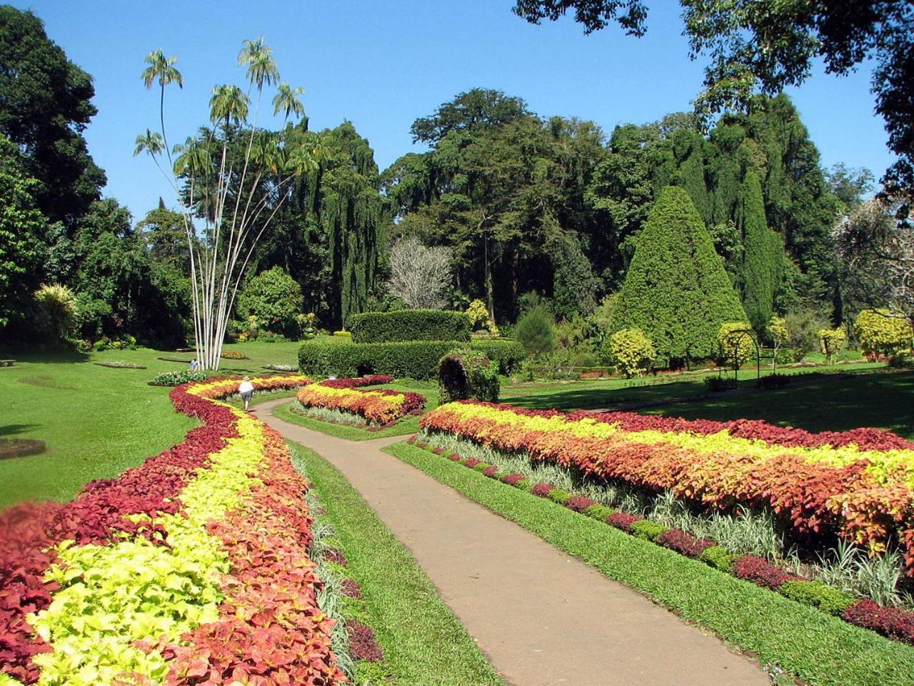 Kandy View Garden Hotel Экстерьер фото